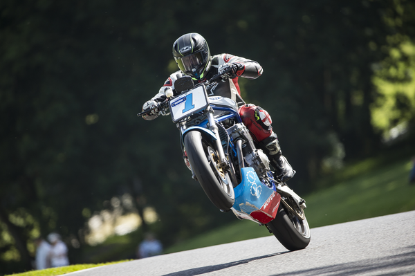 Competizione Suzuki SV650 a Cadwell Park. - Jamie Morris/Suzuki