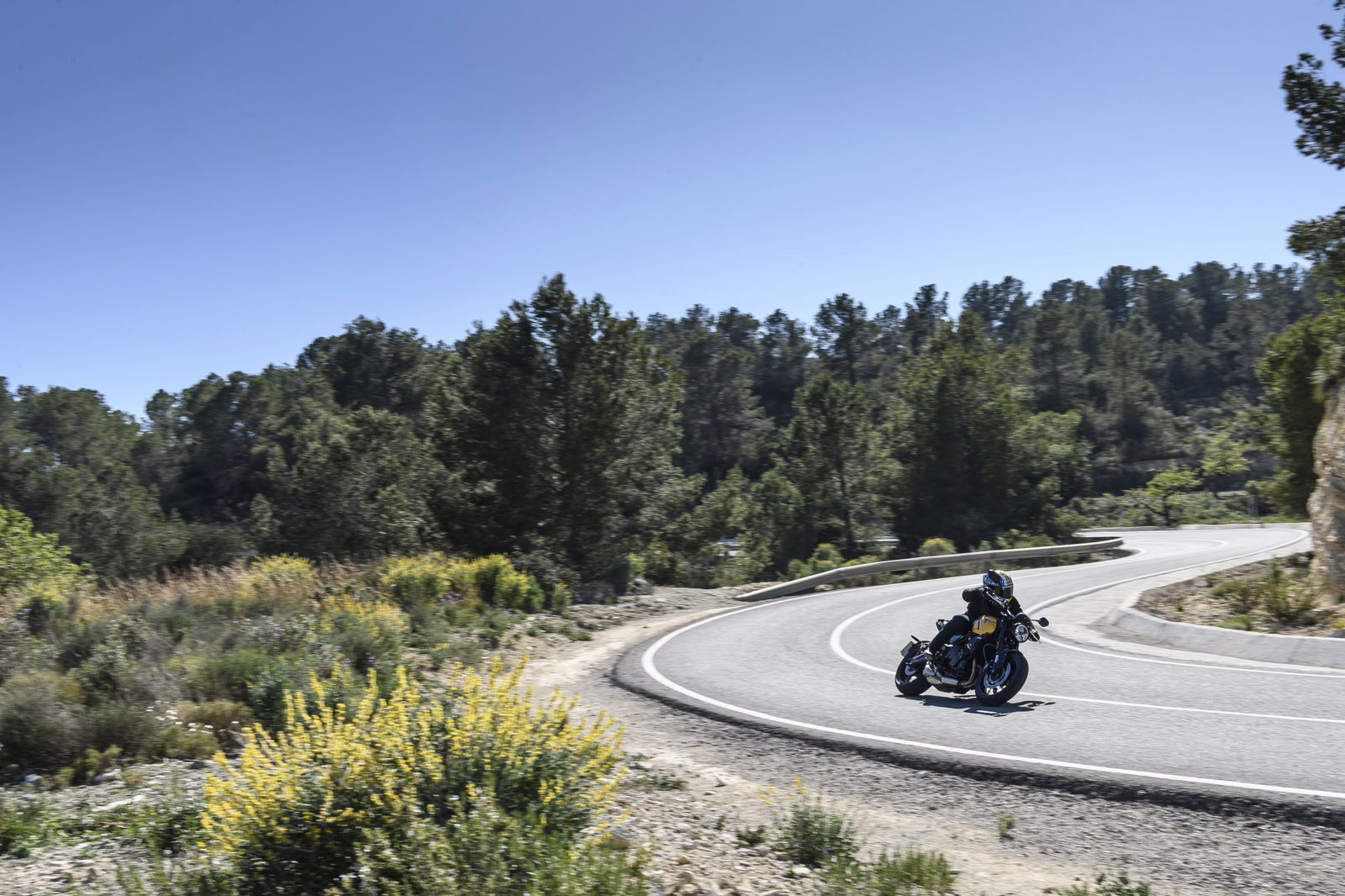 La Triumph Trident 660 del 2026