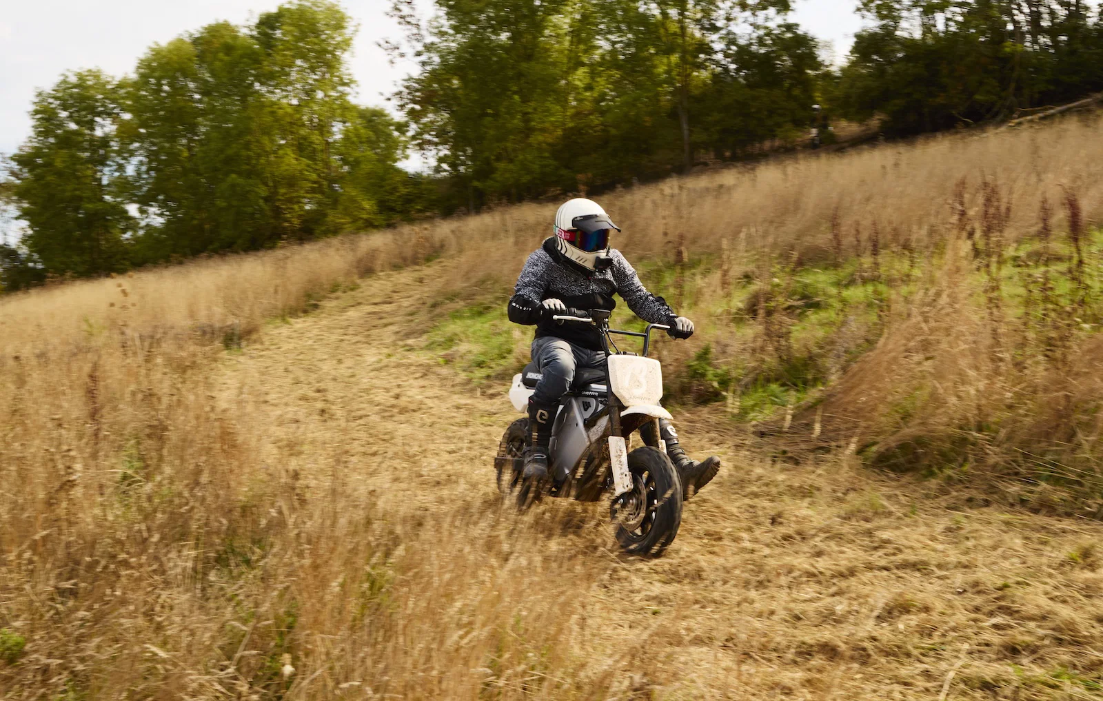 Il LiveWire S4 Honcho Trail - equitazione