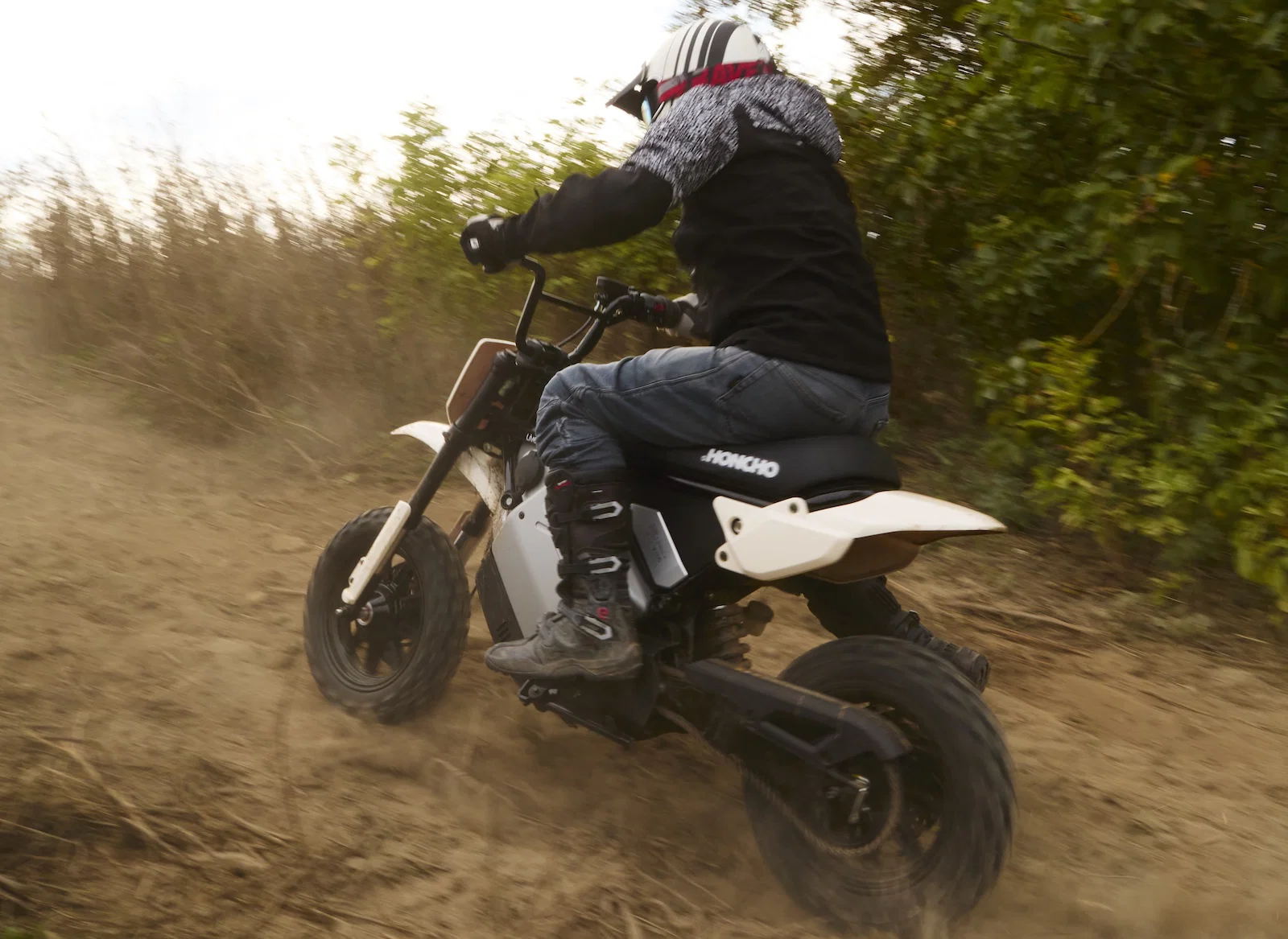 Il LiveWire S4 Honcho Trail - equitazione