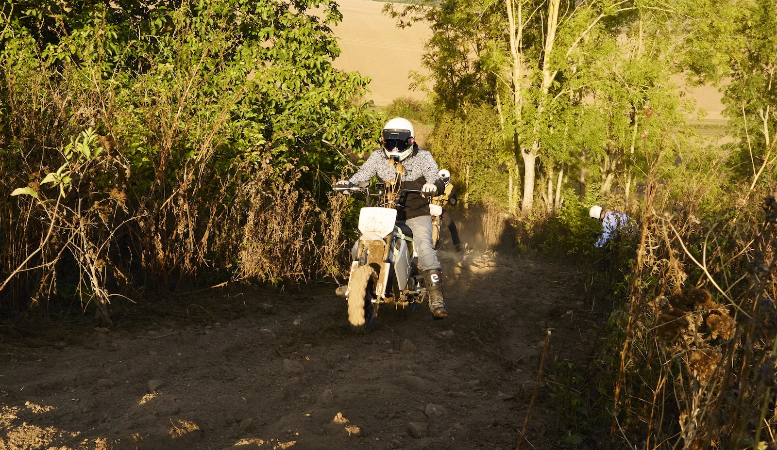 Il LiveWire S4 Honcho Trail - equitazione