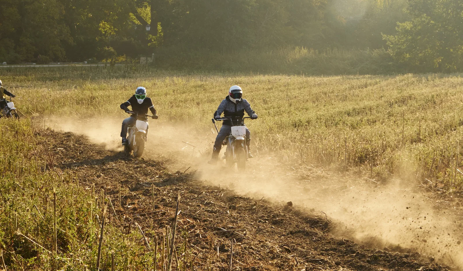 Il LiveWire S4 Honcho Trail - equitazione